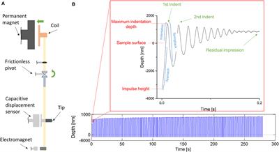 Influence of Cooling Rate on Cracking and <mark class="highlighted">Plastic Deformation</mark> during Impact and Indentation of Borosilicate Glasses